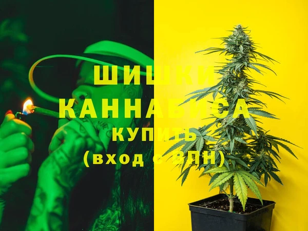 сатива Алексин