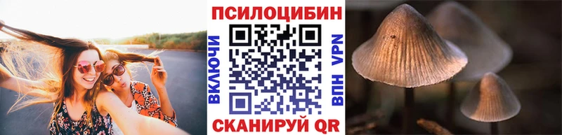 Псилоцибиновые грибы Cubensis  Купить  Мосальск 